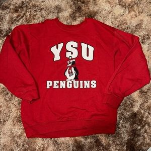 Youngstown State University Sweatshirt Bundle!